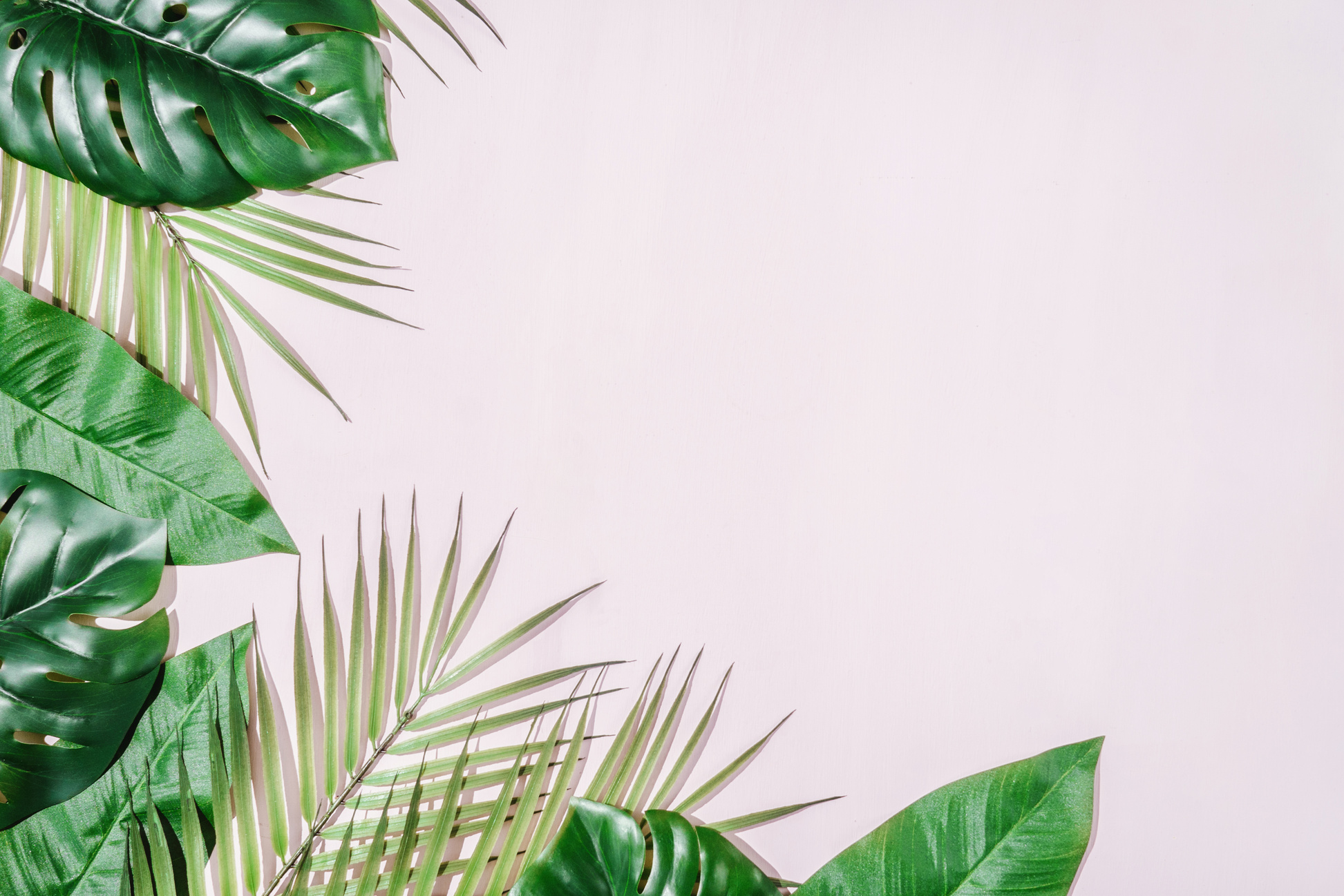 Tropical Jungle Leaves Background